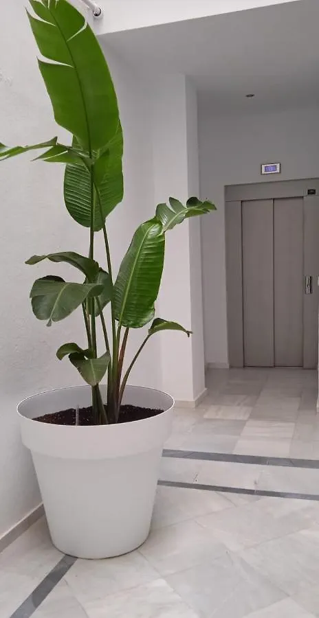 Apartamento el 2 de Flamenco 1B Cádiz